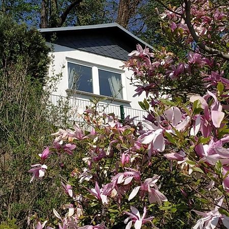 Das Ferienhaus Mit Aussicht Pirna Luaran gambar